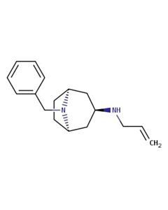 Astatech N-ALLYL-8-BENZYL-8-AZABICYCLO[3.2.1]OCTAN-3-AMINE; 1G; Purity 95%; MDL-MFCD26960824